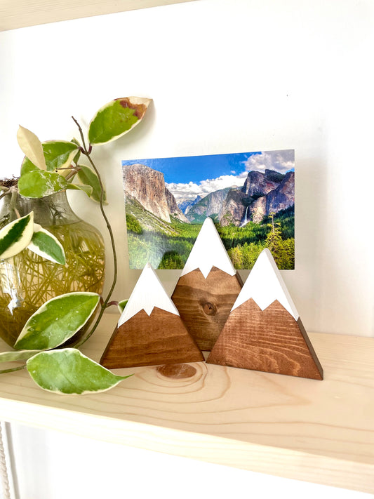 Mini Wood Mountain Shelf Decorations