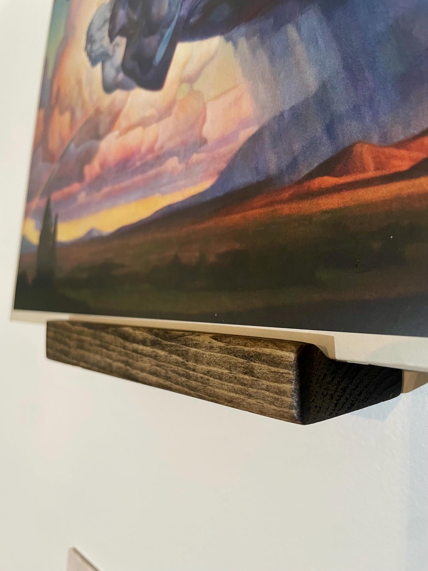 Vinyl Record Display Shelf
