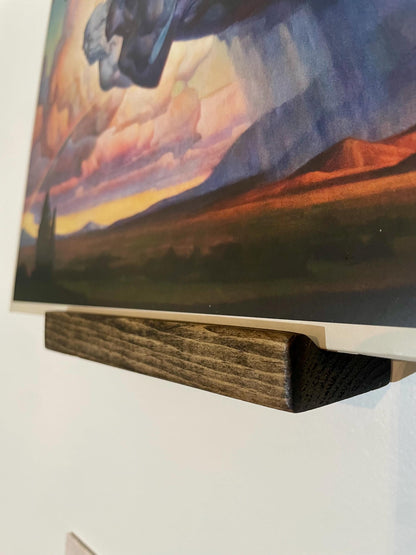 Vinyl Record Display Shelf