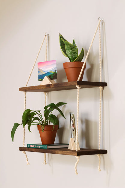 Various houseplants arranged on the window plant shelf
