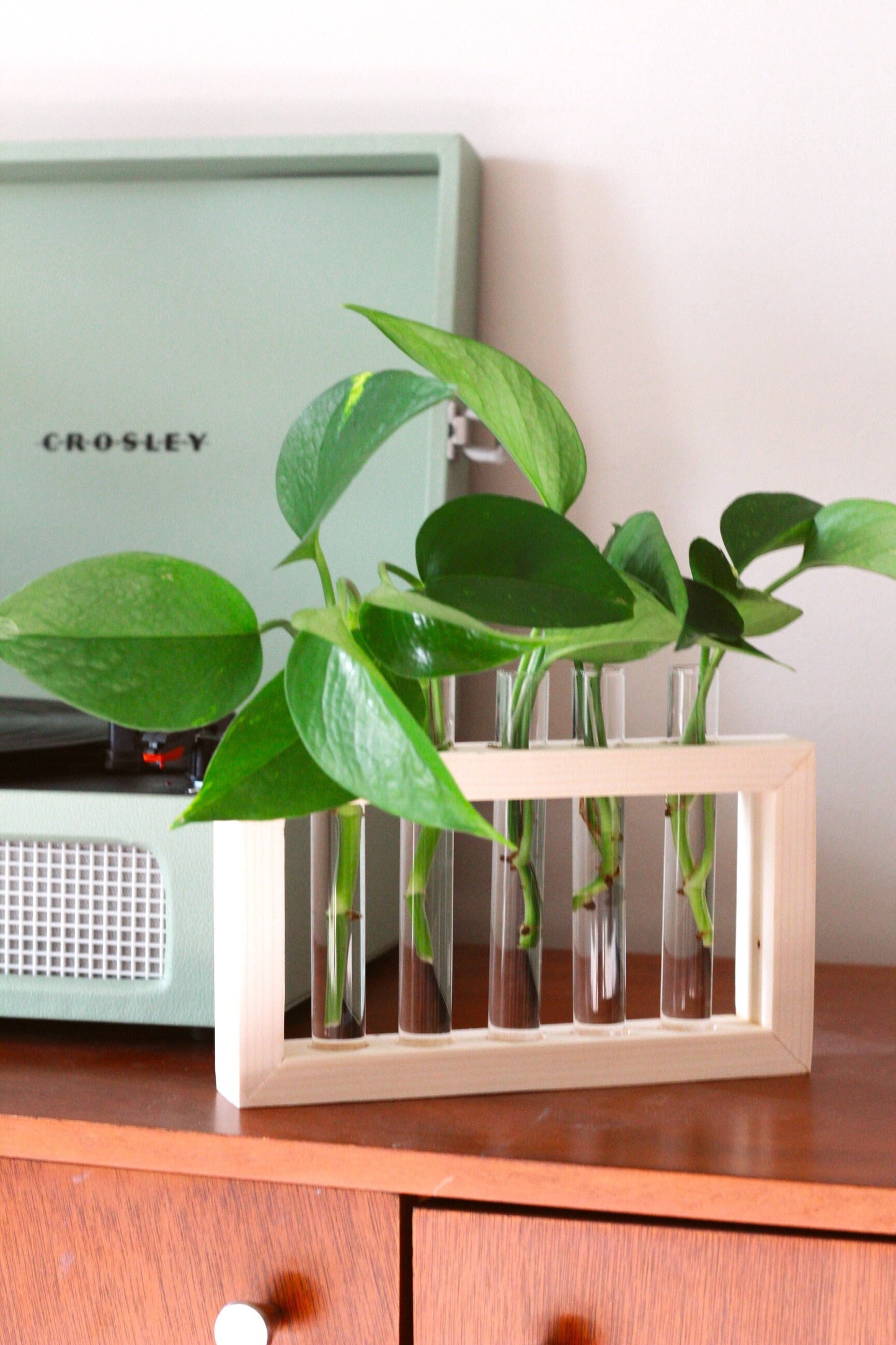 Propagation Station | Plant Propagation- Tubes Included | Indoor Plant Stand | Boho Plant Holder