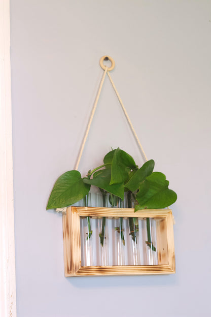 Propagation Station | Plant Propagation- Tubes Included | Indoor Plant Stand | Boho Plant Holder
