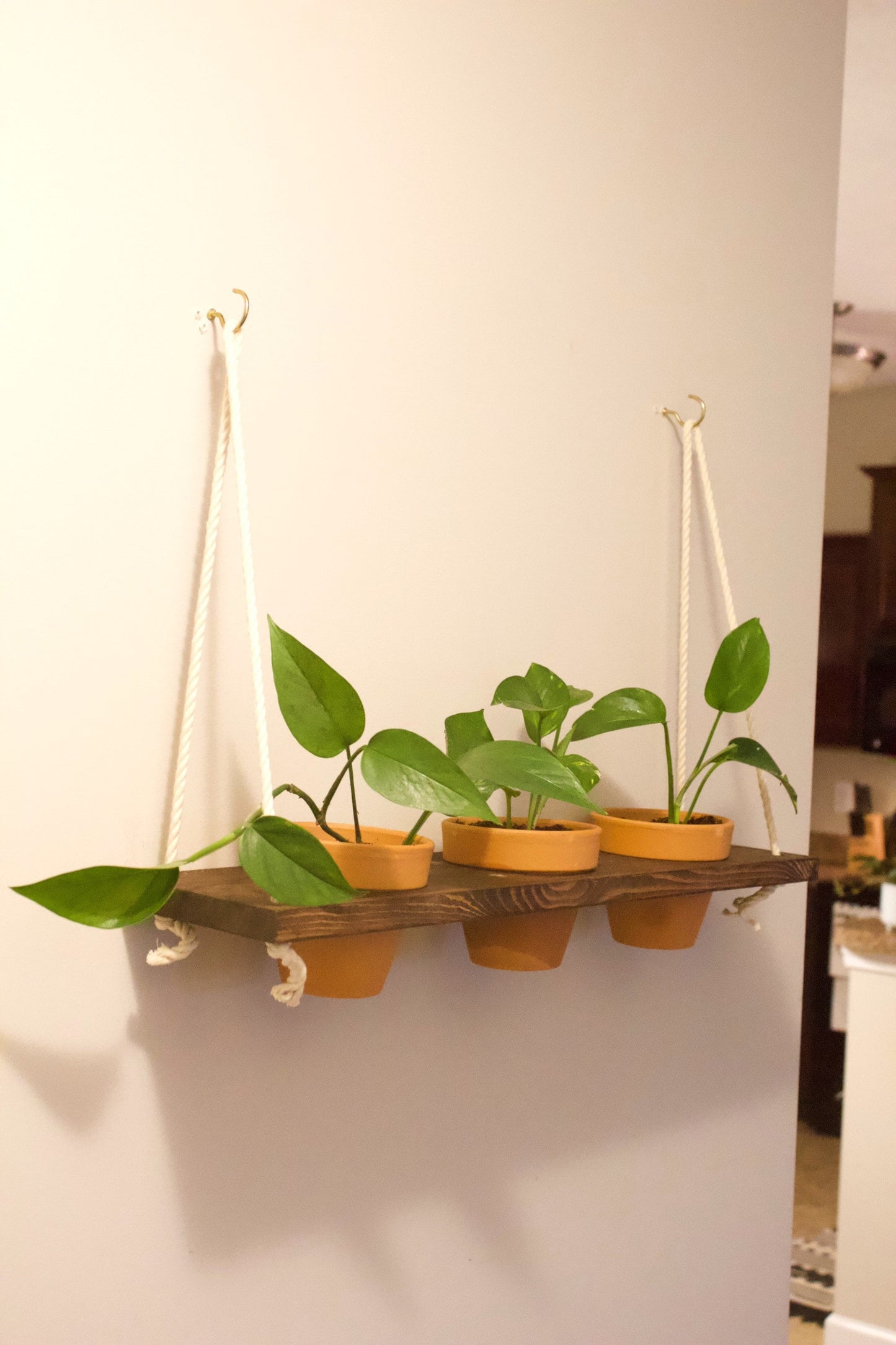 Hanging Plant Shelf | Window Garden Shelves | Tiered Plant Shelf | Window Plant Holder | Wood Rope Shelves | Plant Pot Holder Shelf