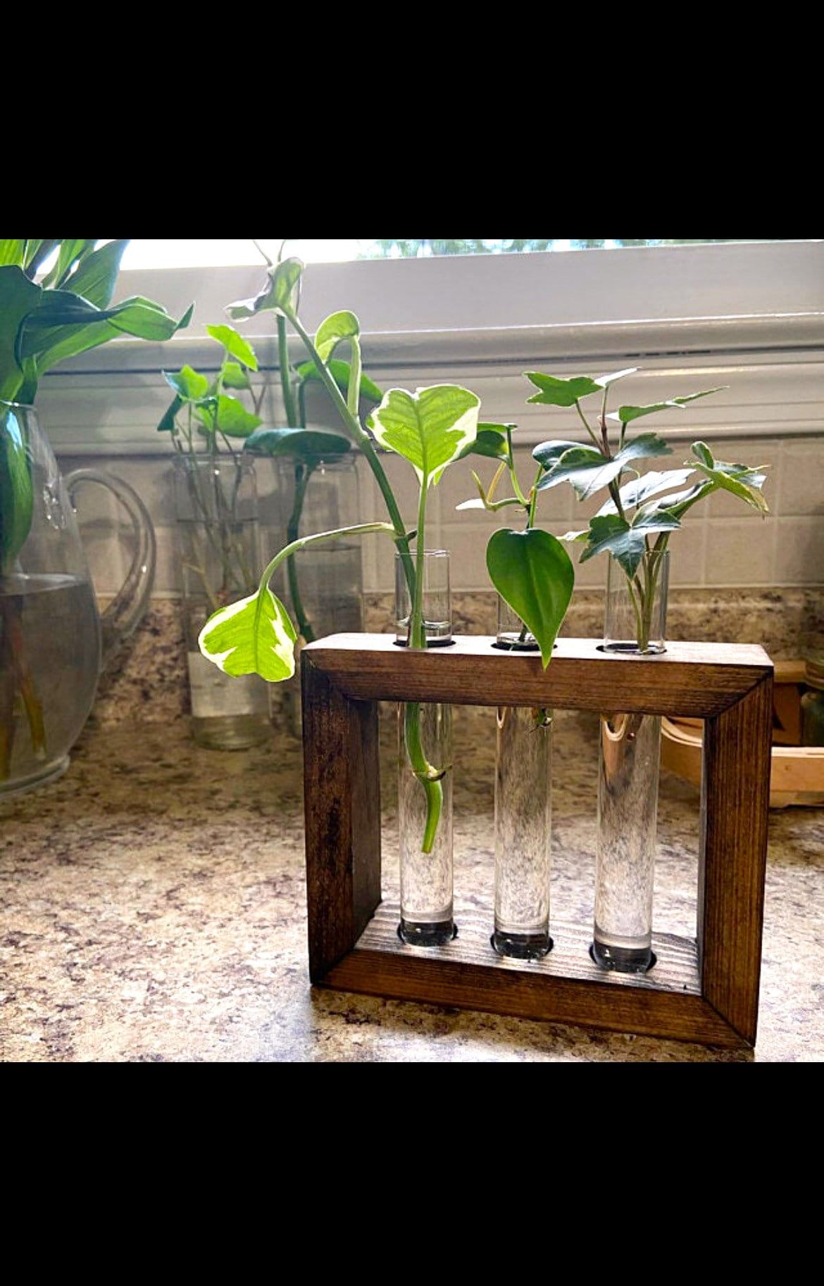Propagation Station | Plant Propagation- Tubes Included | Indoor Plant Stand | Boho Plant Holder