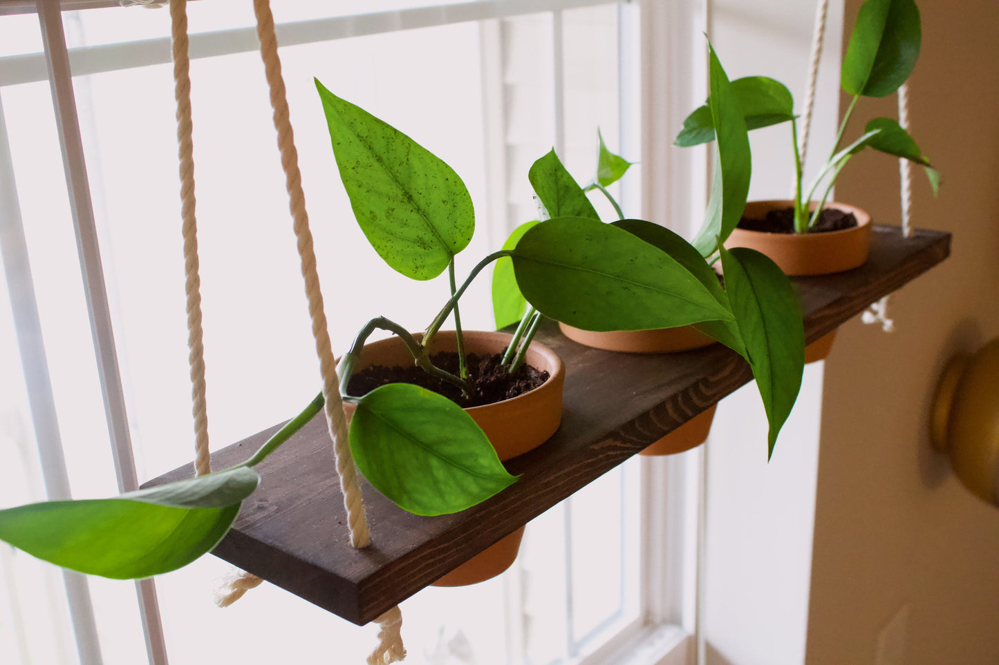 Hanging Plant Shelf | Window Garden Shelves | Tiered Plant Shelf | Window Plant Holder | Wood Rope Shelves | Plant Pot Holder Shelf