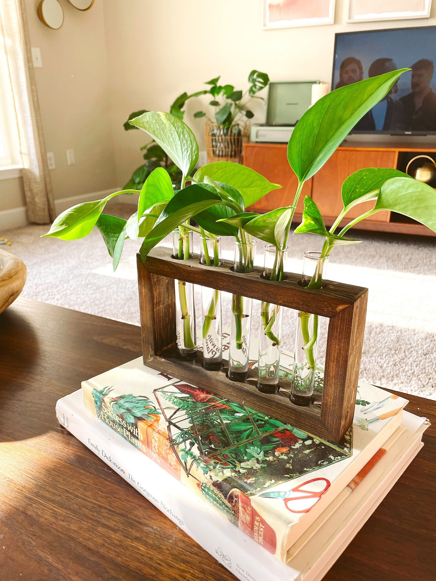 Propagation Station | Plant Propagation- Tubes Included | Indoor Plant Stand | Boho Plant Holder