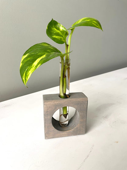 Propagation Station | Plant Propagation- Tubes Included | Indoor Plant Stand | Plant Gift | Wooden Propagation Stand